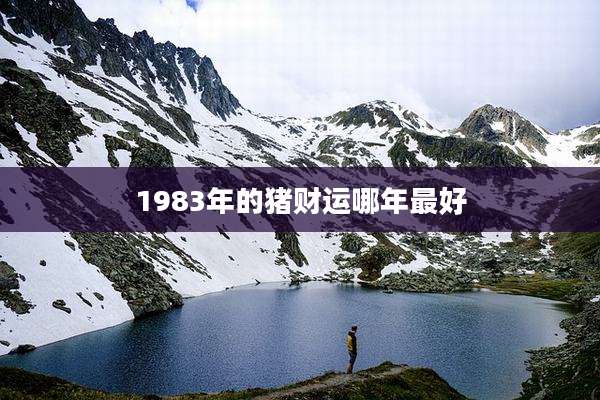 1983年的猪财运哪年最好