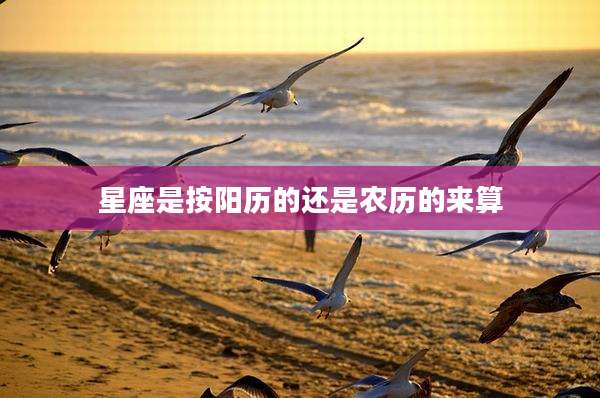 星座是按阳历的还是农历的来算