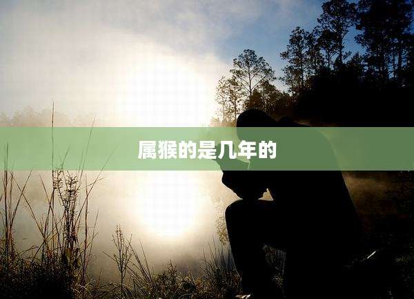 属猴的是几年的