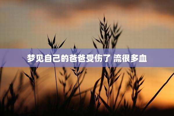 梦见自己的爸爸受伤了 流很多血