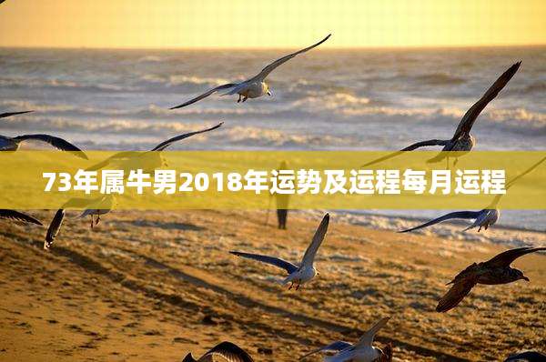 73年属牛男2018年运势及运程每月运程