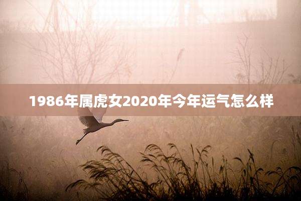 1986年属虎女2020年今年运气怎么样