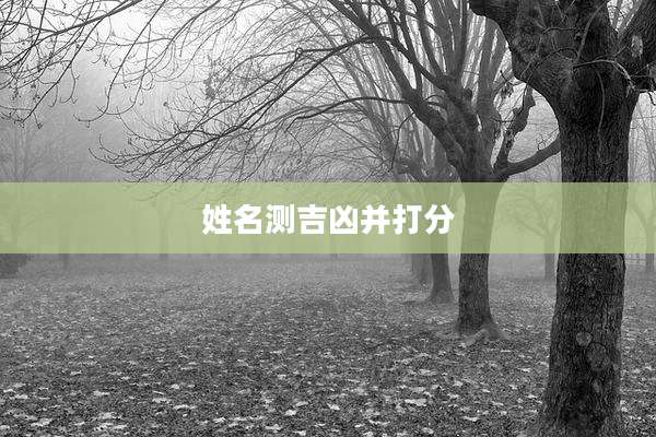 姓名测吉凶并打分
