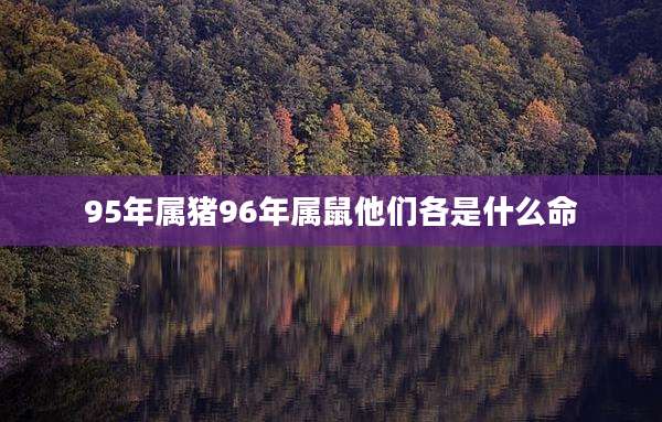 95年属猪96年属鼠他们各是什么命