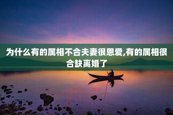 为什么有的属相不合夫妻很恩爱,有的属相很合缺离婚了