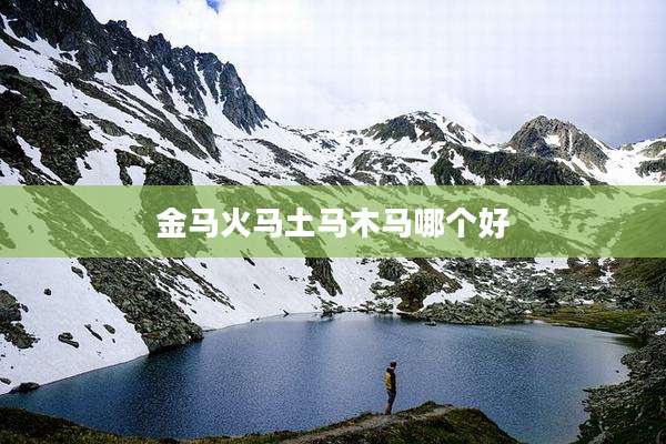 金马火马土马木马哪个好
