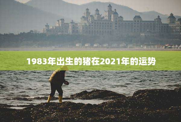 1983年出生的猪在2021年的运势