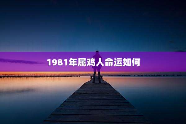 1981年属鸡人命运如何