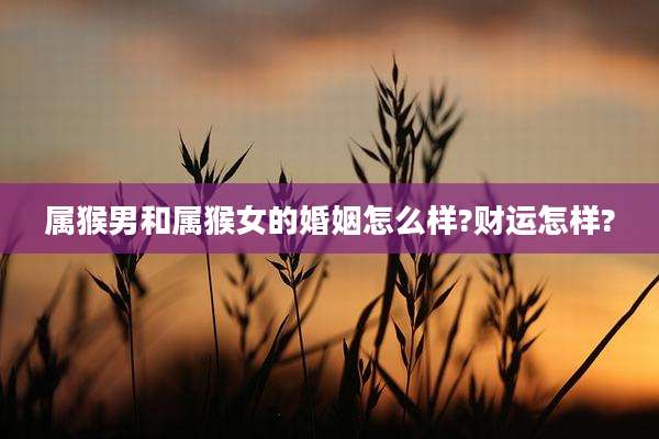 属猴男和属猴女的婚姻怎么样?财运怎样?