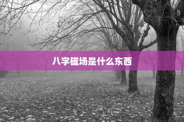 八字磁场是什么东西