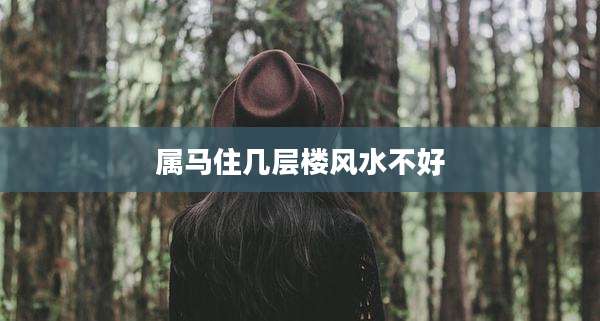 属马住几层楼风水不好
