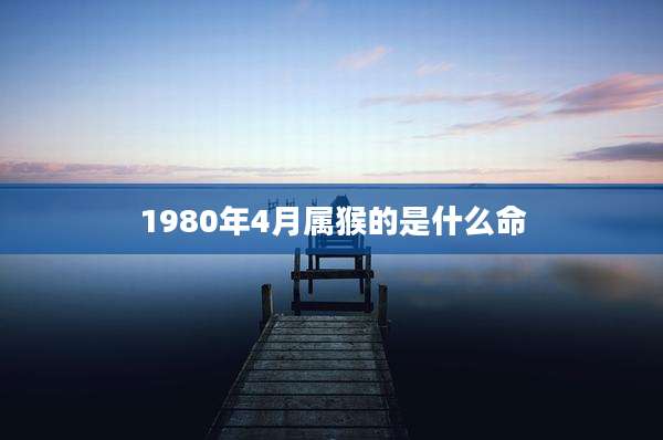 1980年4月属猴的是什么命