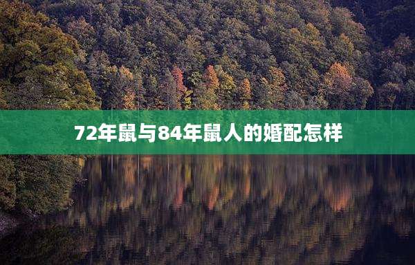 72年鼠与84年鼠人的婚配怎样