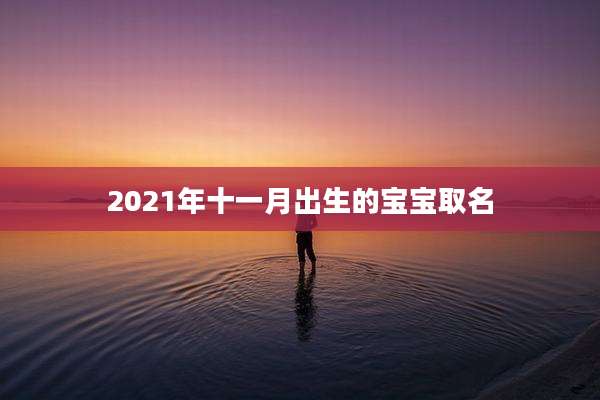 2021年十一月出生的宝宝取名