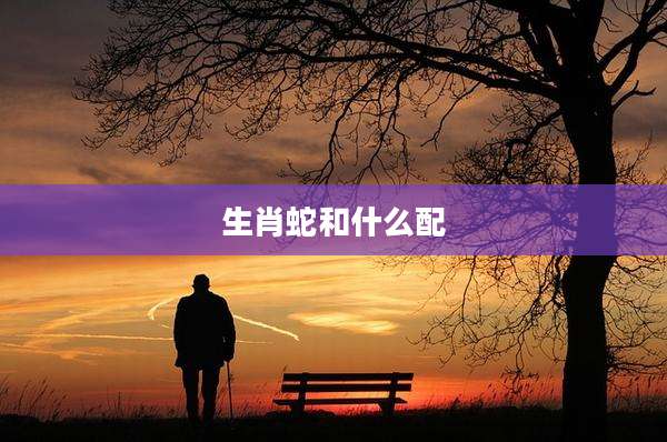 生肖蛇和什么配