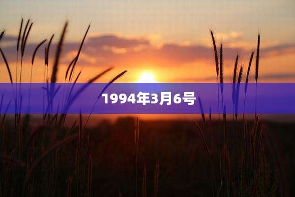 1994年3月6号