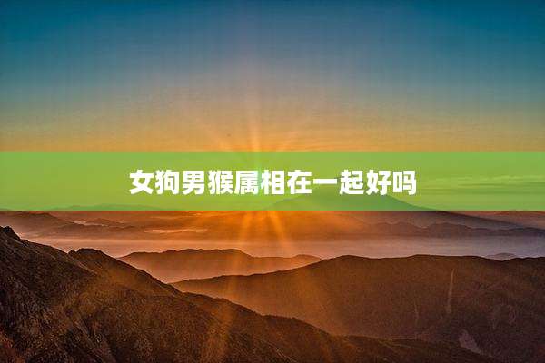 女狗男猴属相在一起好吗
