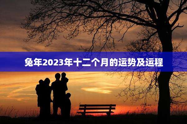 兔年2023年十二个月的运势及运程