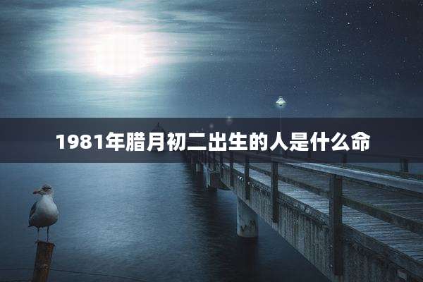 1981年腊月初二出生的人是什么命