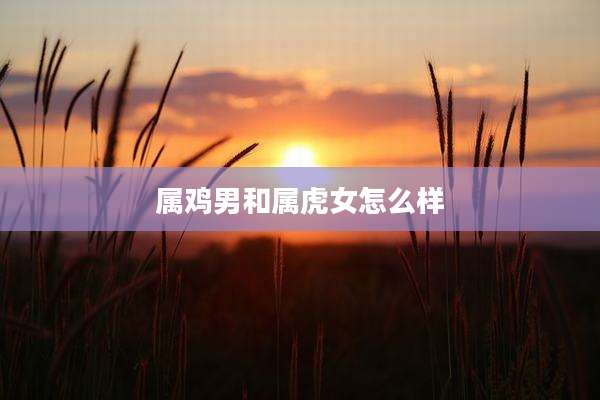 属鸡男和属虎女怎么样