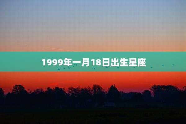 1999年一月18日出生星座
