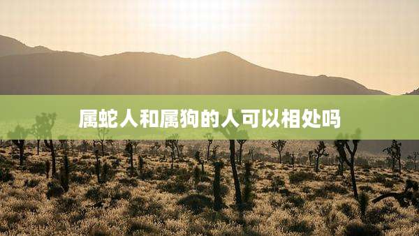 属蛇人和属狗的人可以相处吗