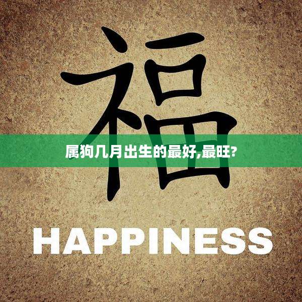 属狗几月出生的最好,最旺?