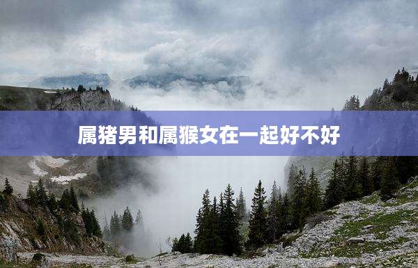 属猪男和属猴女在一起好不好