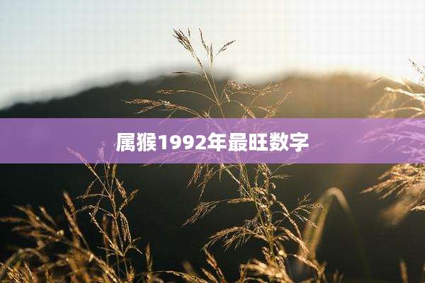 属猴1992年最旺数字