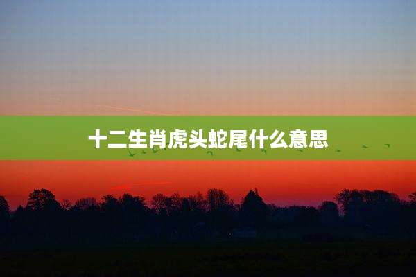 十二生肖虎头蛇尾什么意思