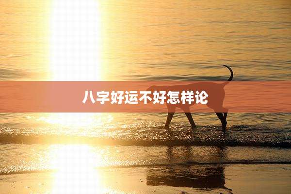 八字好运不好怎样论