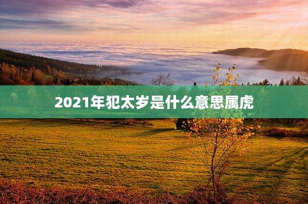 2021年犯太岁是什么意思属虎