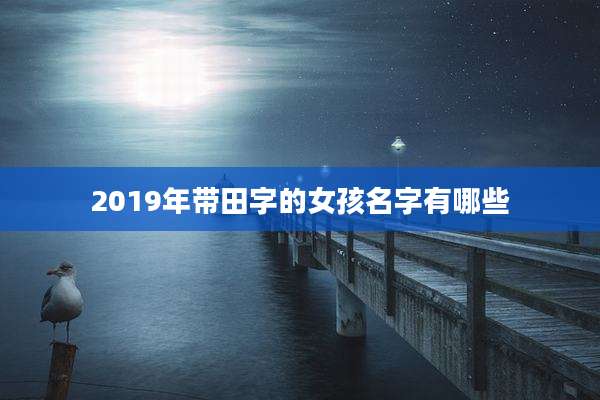 2019年带田字的女孩名字有哪些