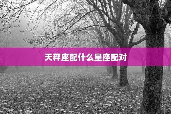 天秤座配什么星座配对