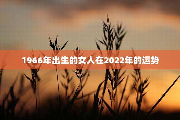 1966年出生的女人在2022年的运势
