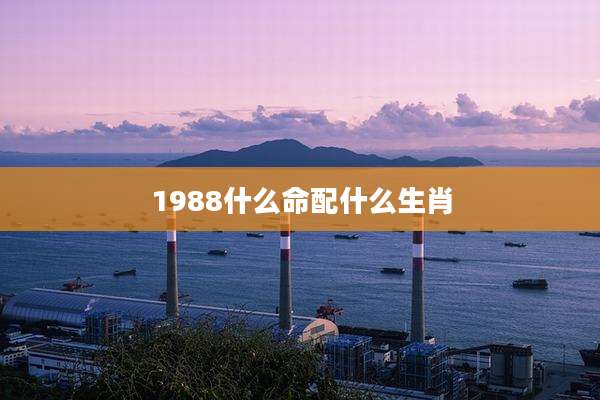 1988什么命配什么生肖