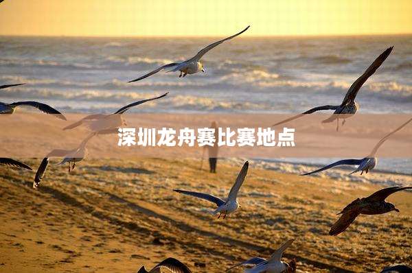 深圳龙舟赛比赛地点