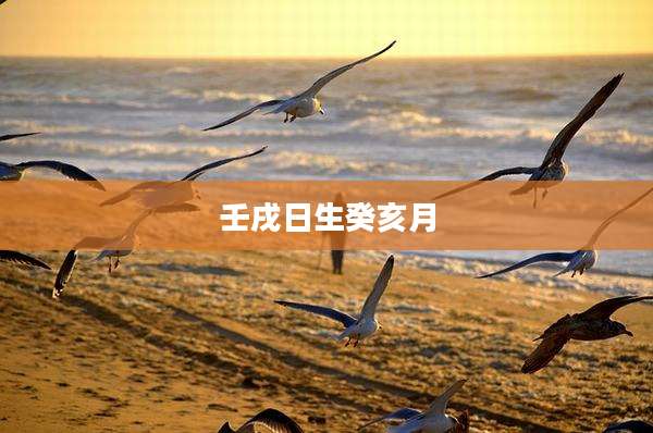 壬戌日生癸亥月