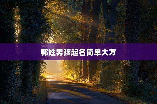 郭姓男孩起名简单大方