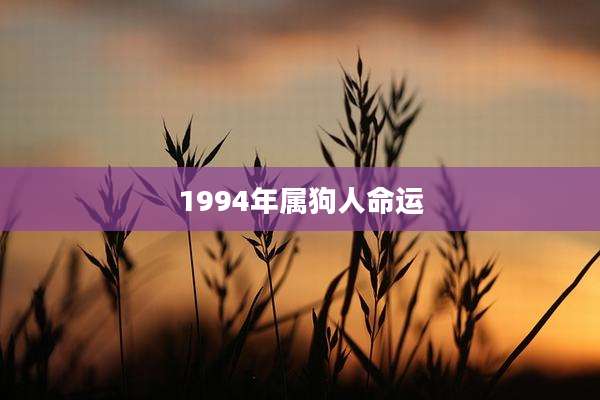 1994年属狗人命运