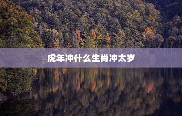 虎年冲什么生肖冲太岁