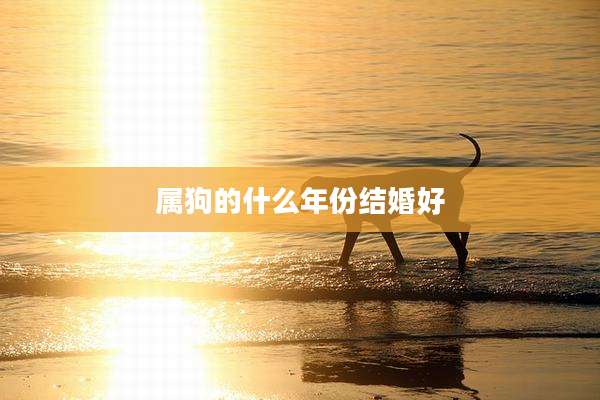 属狗的什么年份结婚好