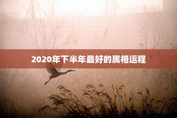 2020年下半年最好的属相运程
