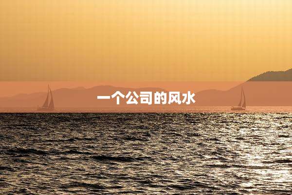 一个公司的风水