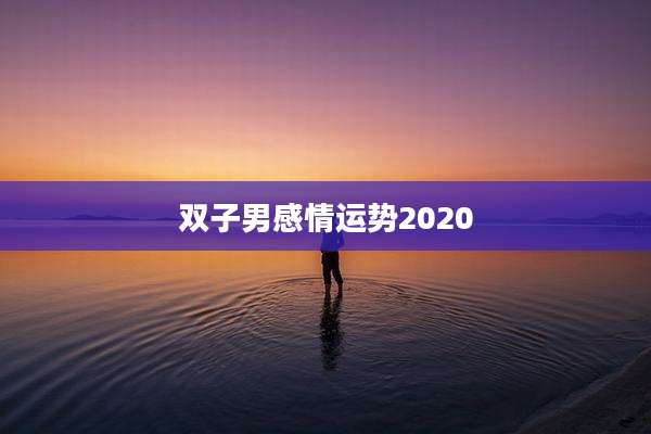 双子男感情运势2020