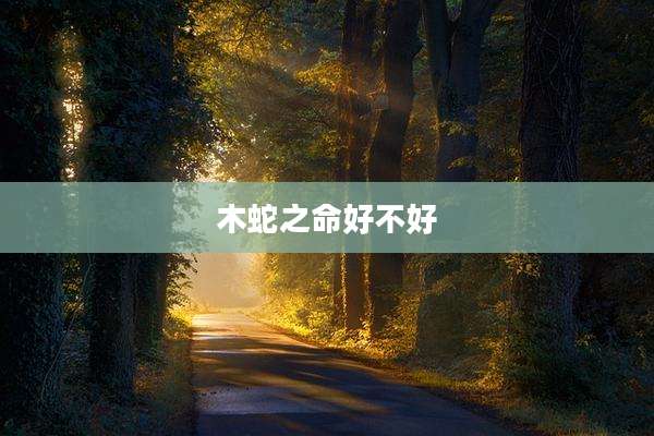 木蛇之命好不好