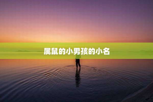属鼠的小男孩的小名