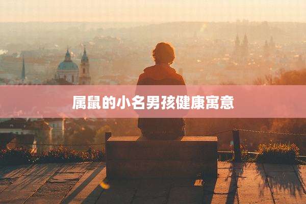 属鼠的小名男孩健康寓意