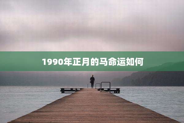 1990年正月的马命运如何