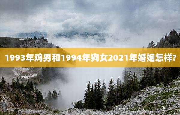 1993年鸡男和1994年狗女2021年婚姻怎样?